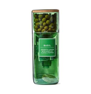 Basil Hydro-herb Kit