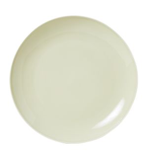 Pintura Washed Dinner Plate in Sage
