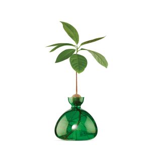 Exclusive Avocado Vase in Olive Green