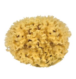 Natural Mediterranean Sponge 15cm